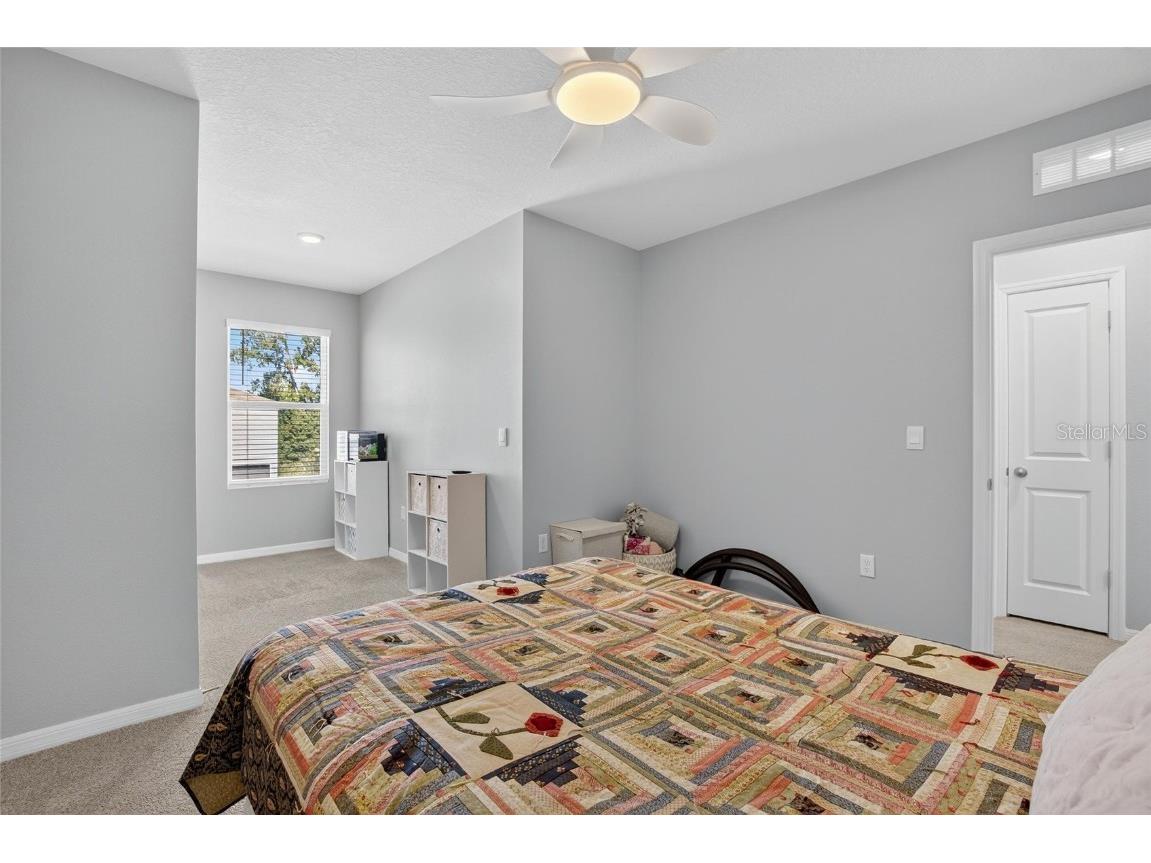 5055 Captain Davis Drive Wimauma FL 33598 TB8448565 image33