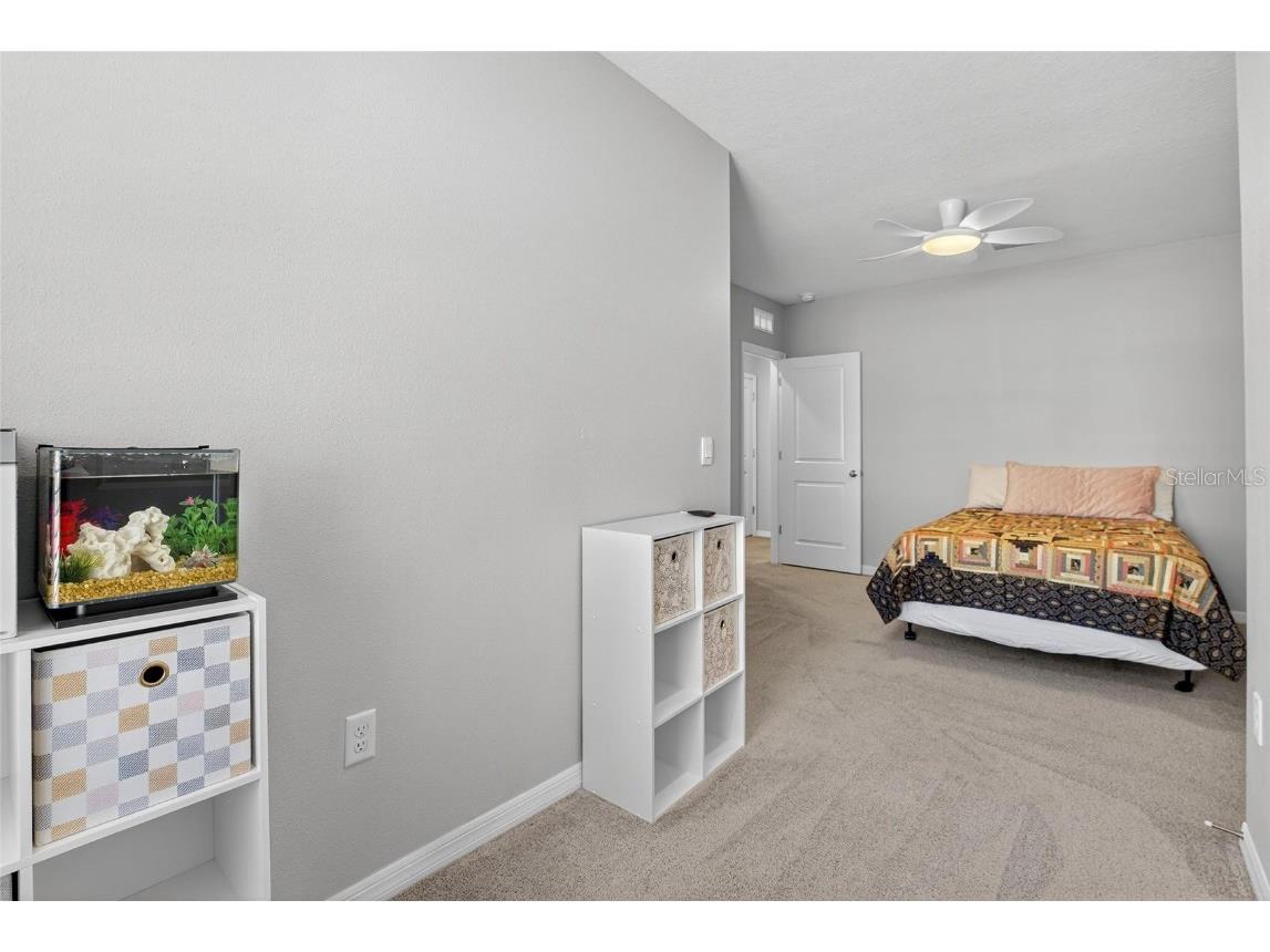 5055 Captain Davis Drive Wimauma FL 33598 TB8448565 image35