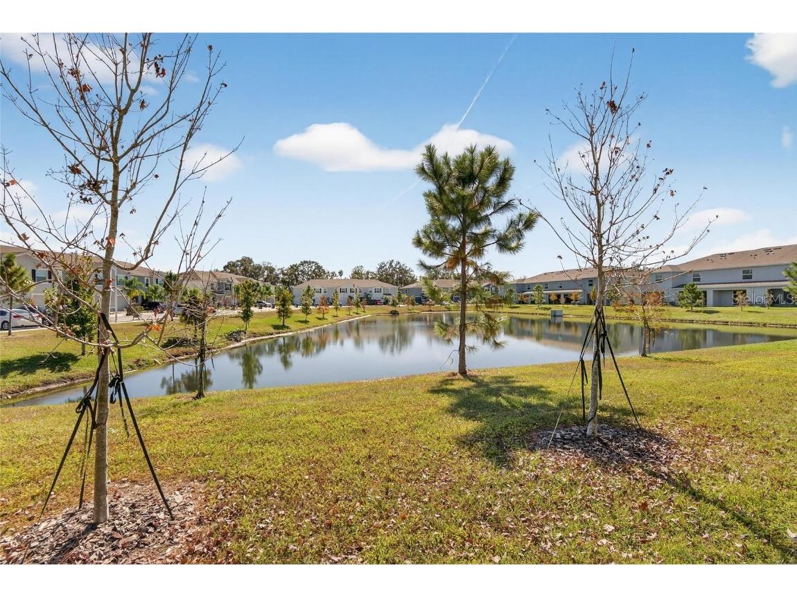 5055 Captain Davis Drive Wimauma FL 33598 TB8448565 image49