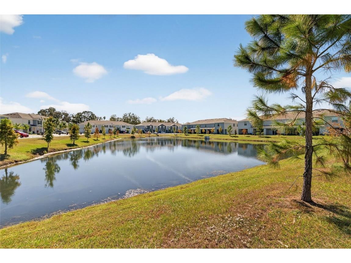 5055 Captain Davis Drive Wimauma FL 33598 TB8448565 image50