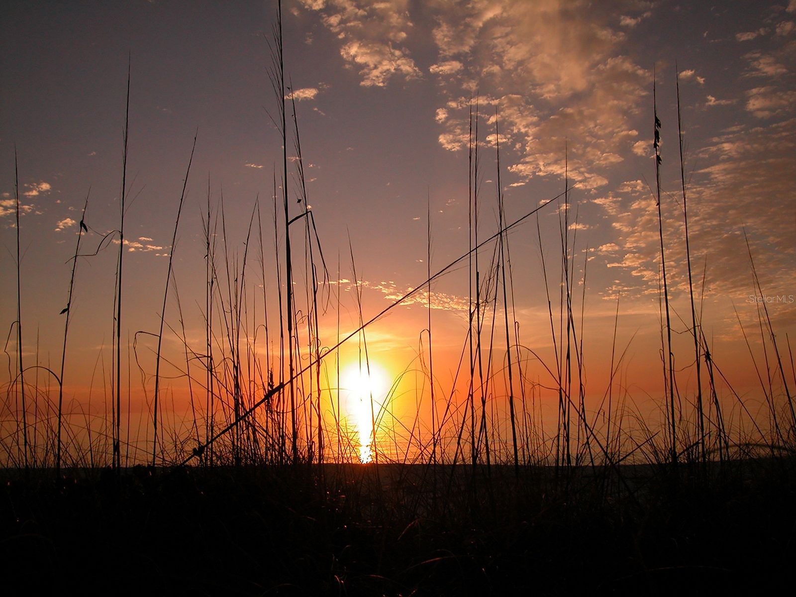 5055 Gulf Of Mexico Drive #412 Longboat Key FL 34228 - GULF OF MEXICO A4683419 image20