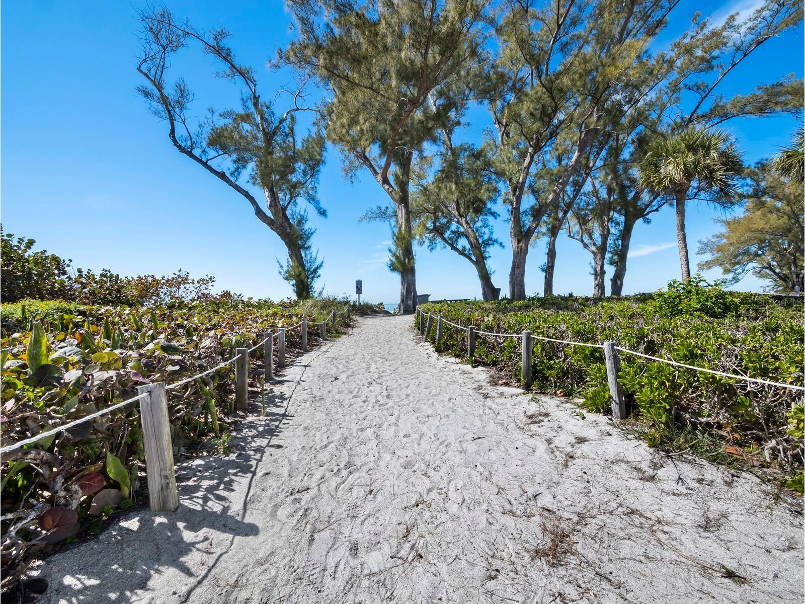 5055 Gulf Of Mexico Drive #421 Longboat Key FL 34228 - GULF OF MEXICO A4684543 image24