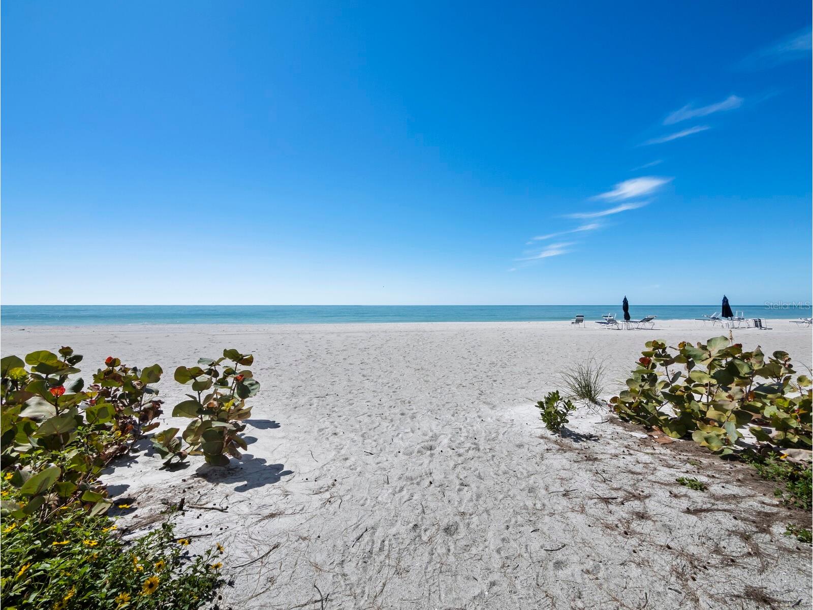 5055 Gulf Of Mexico Drive #421 Longboat Key FL 34228 - GULF OF MEXICO A4684543 image27