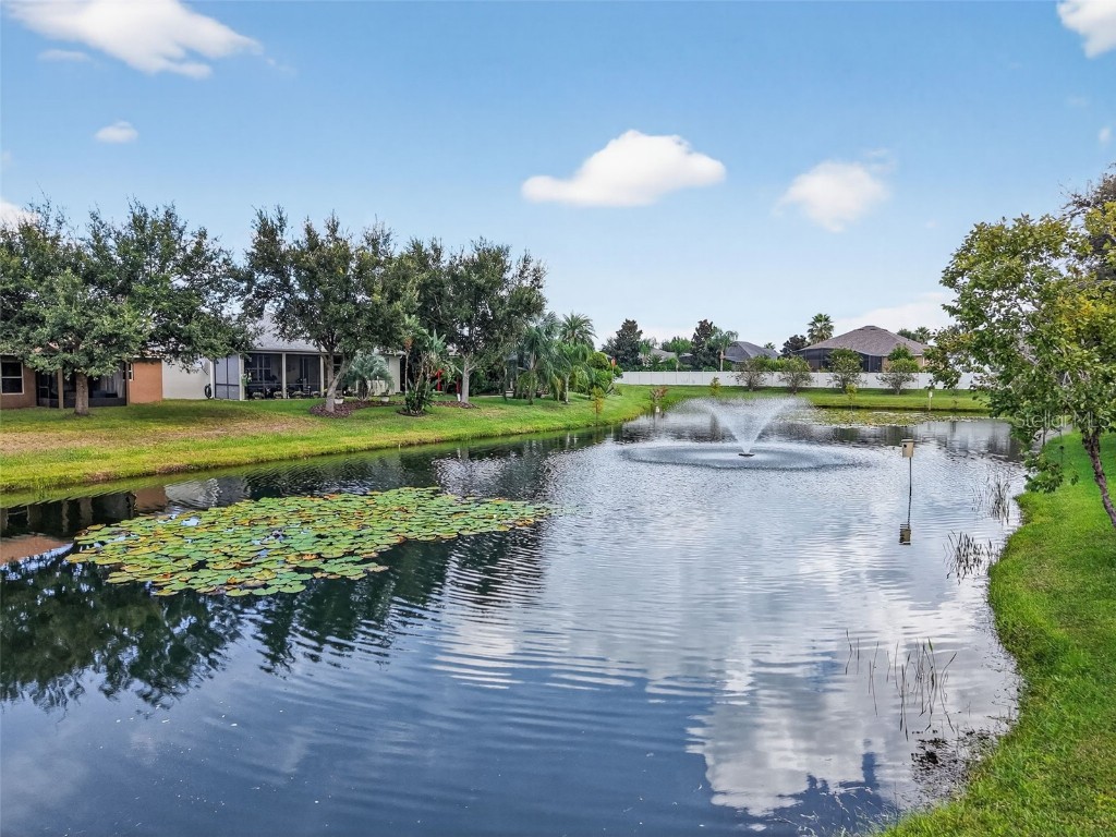 5056 Gandross Lane Mount Dora FL 32757 G5102296 image35