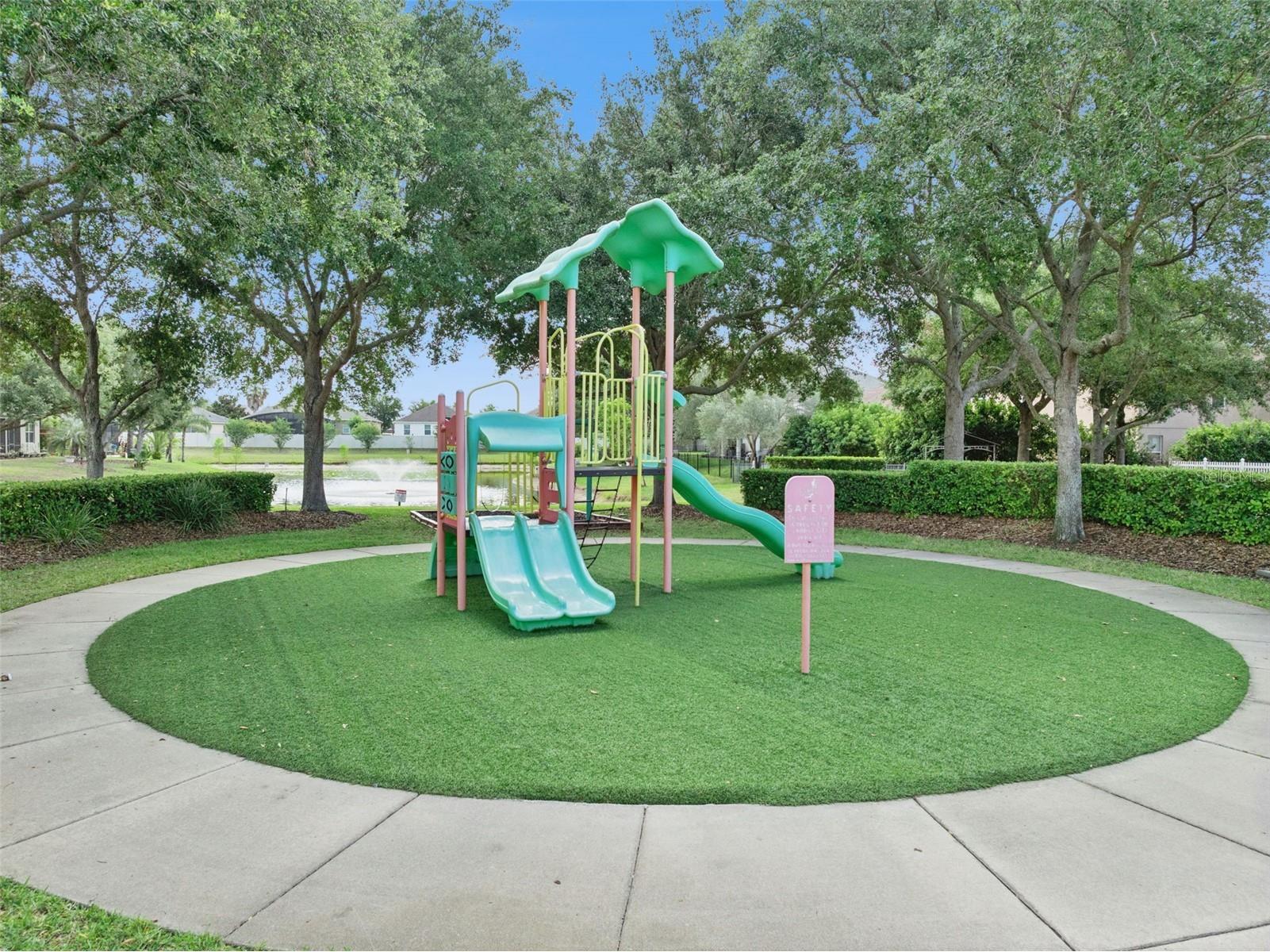 5056 Gandross Lane Mount Dora FL 32757 O6410200 image53