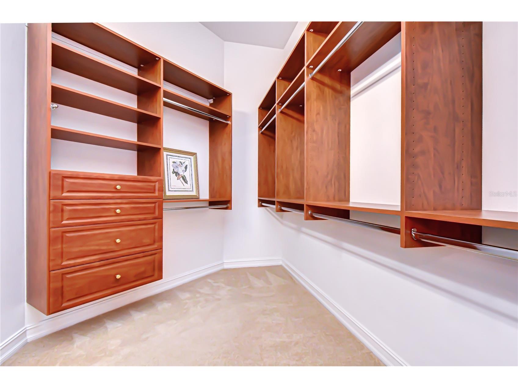 5056 Ruby Flats Drive Wimauma FL 33598 TB8492996 image22