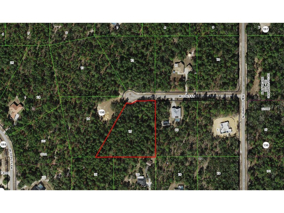 5056 W Colt Street Beverly Hills FL 34465 OM703080 image1