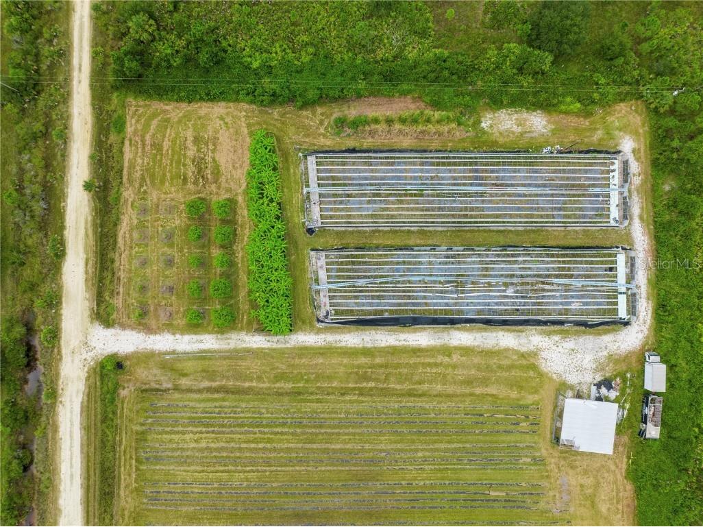 50560 Bermont Road Punta Gorda FL 33982 C7488983 image1