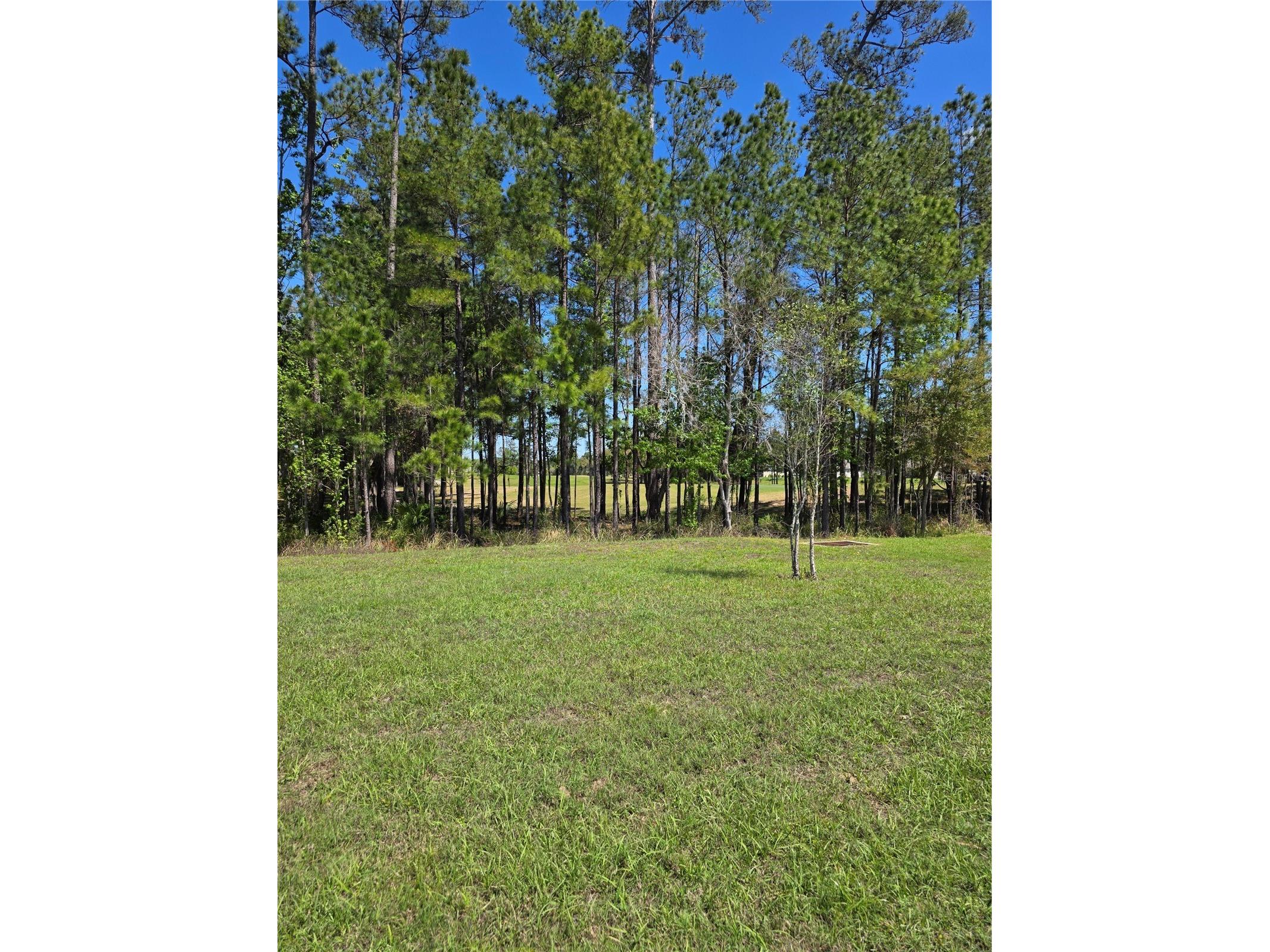 5058 Diantha Way Brooksville FL 34604 TB8494884 image2
