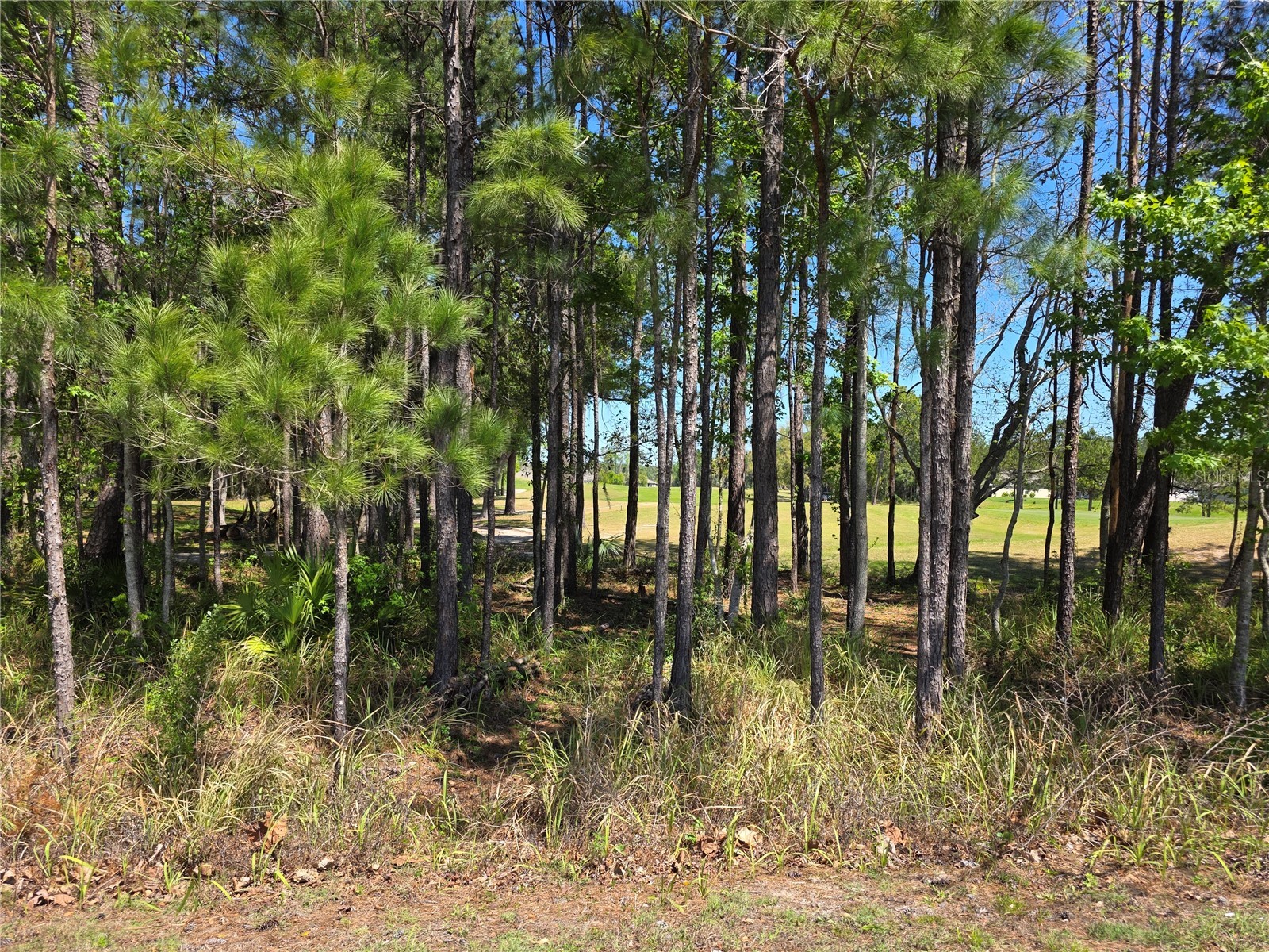 5058 Diantha Way Brooksville FL 34604 TB8494884 image4