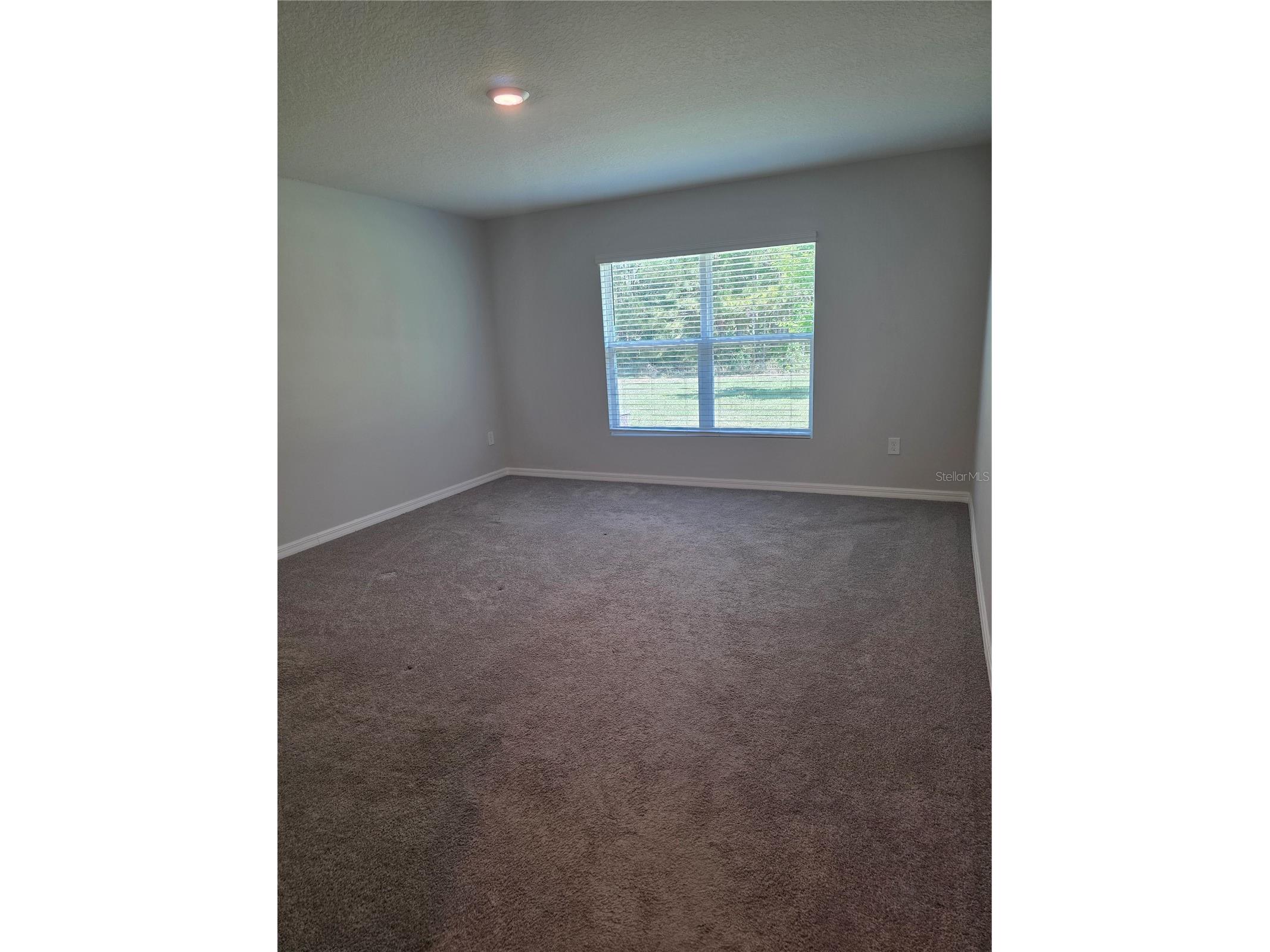 5058 Diantha Way Brooksville FL 34604 TB8494884 image9