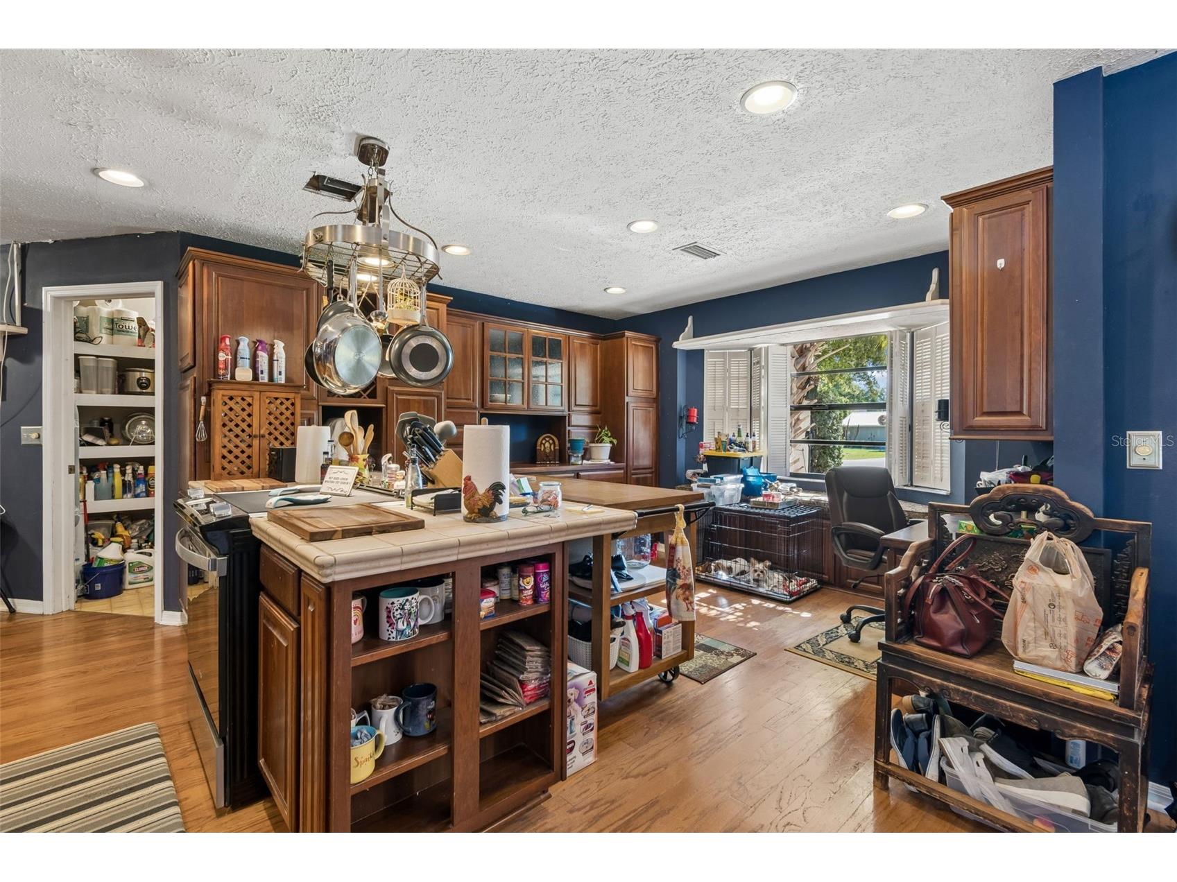 5059 Bernadette Drive Zephyrhills FL 33541 TB8489626 image10