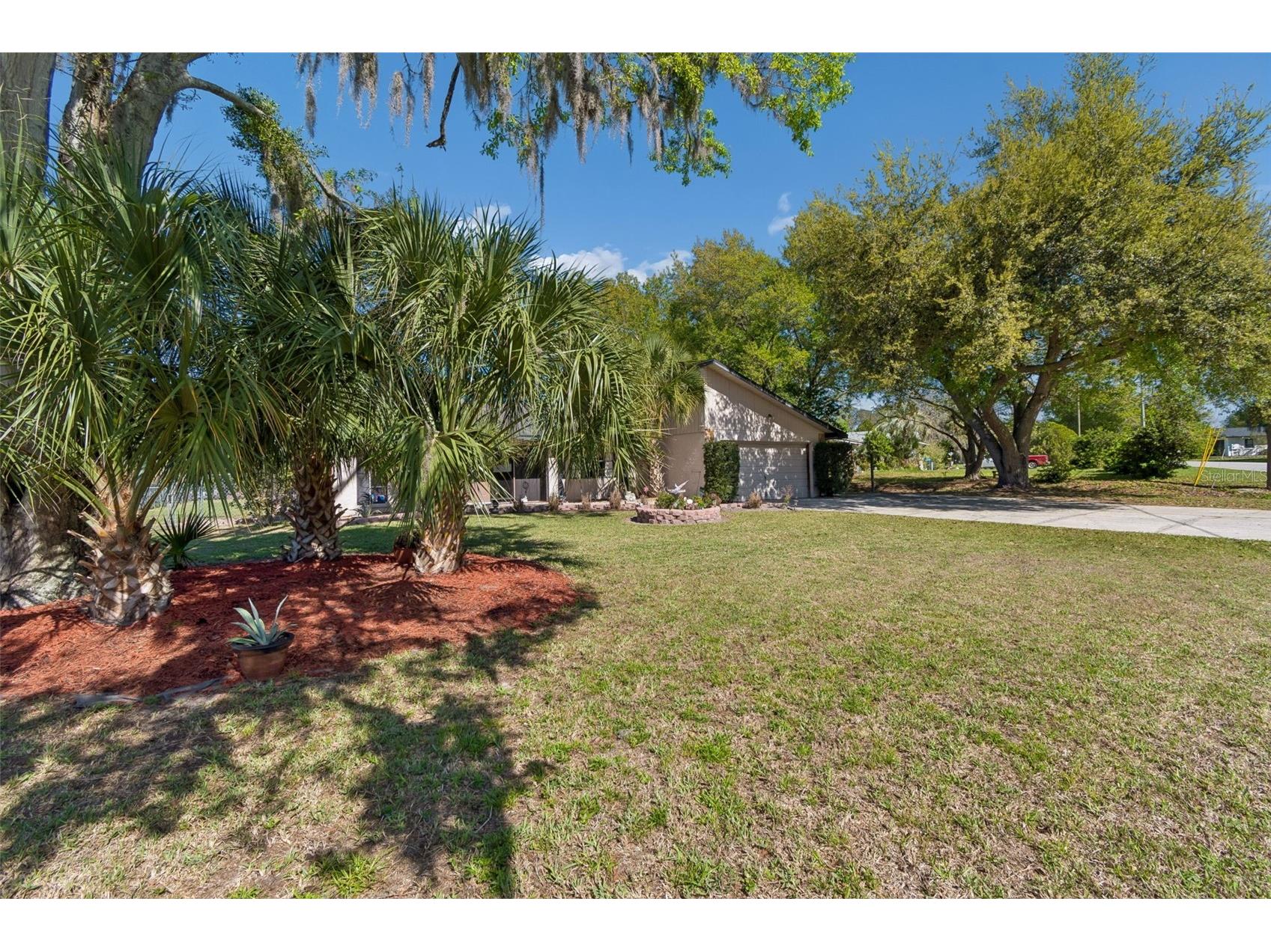 5059 Bernadette Drive Zephyrhills FL 33541 TB8489626 image2