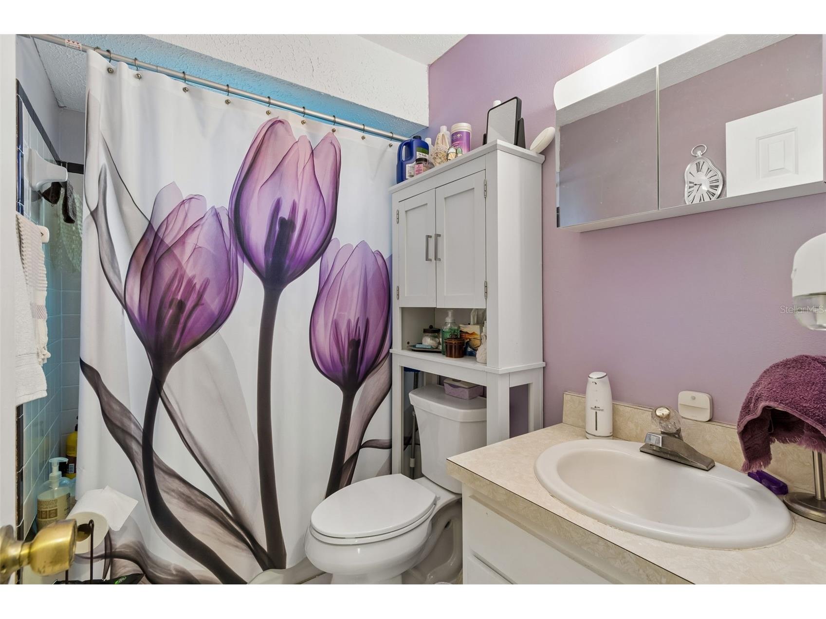 5059 Bernadette Drive Zephyrhills FL 33541 TB8489626 image41