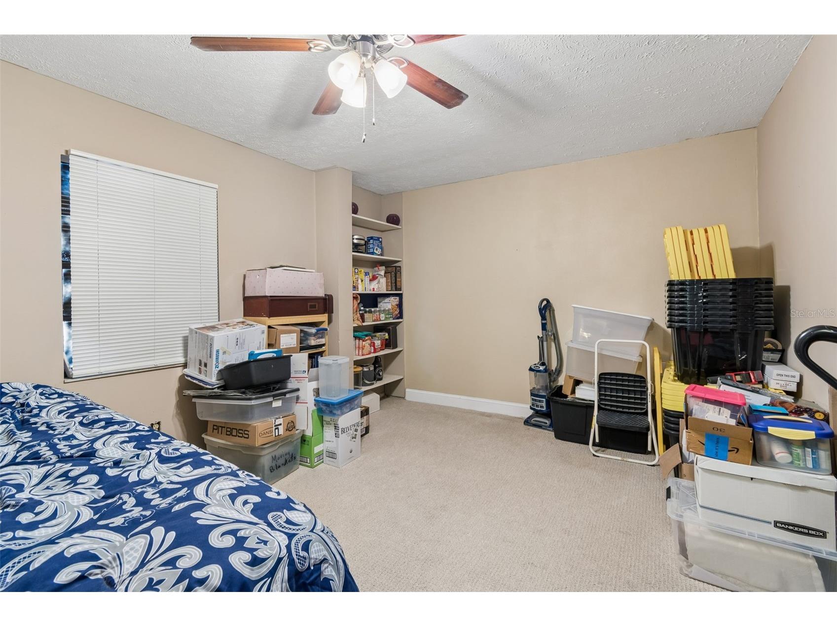 5059 Bernadette Drive Zephyrhills FL 33541 TB8489626 image42