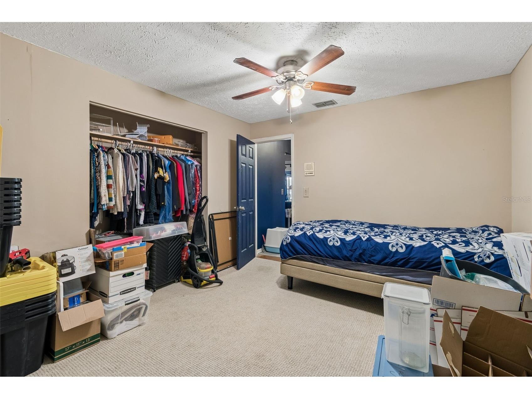 5059 Bernadette Drive Zephyrhills FL 33541 TB8489626 image43