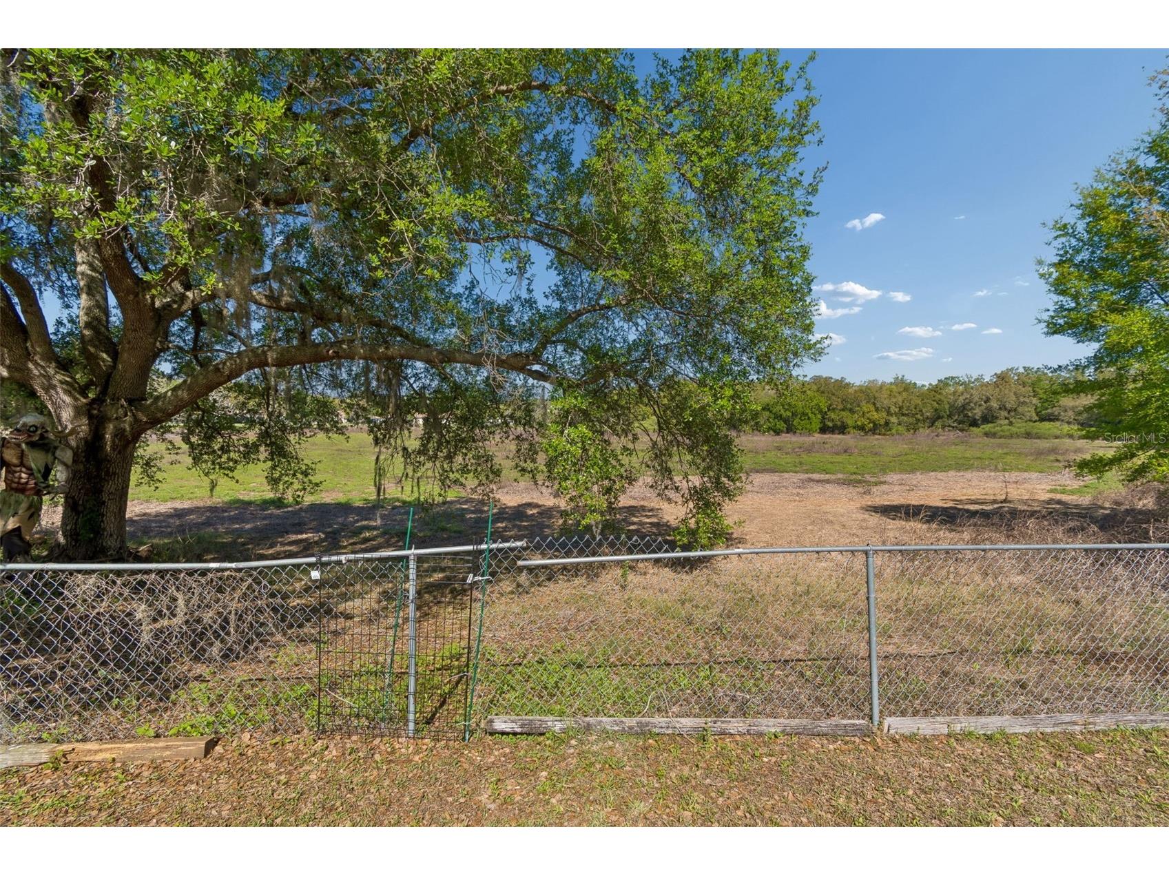 5059 Bernadette Drive Zephyrhills FL 33541 TB8489626 image64