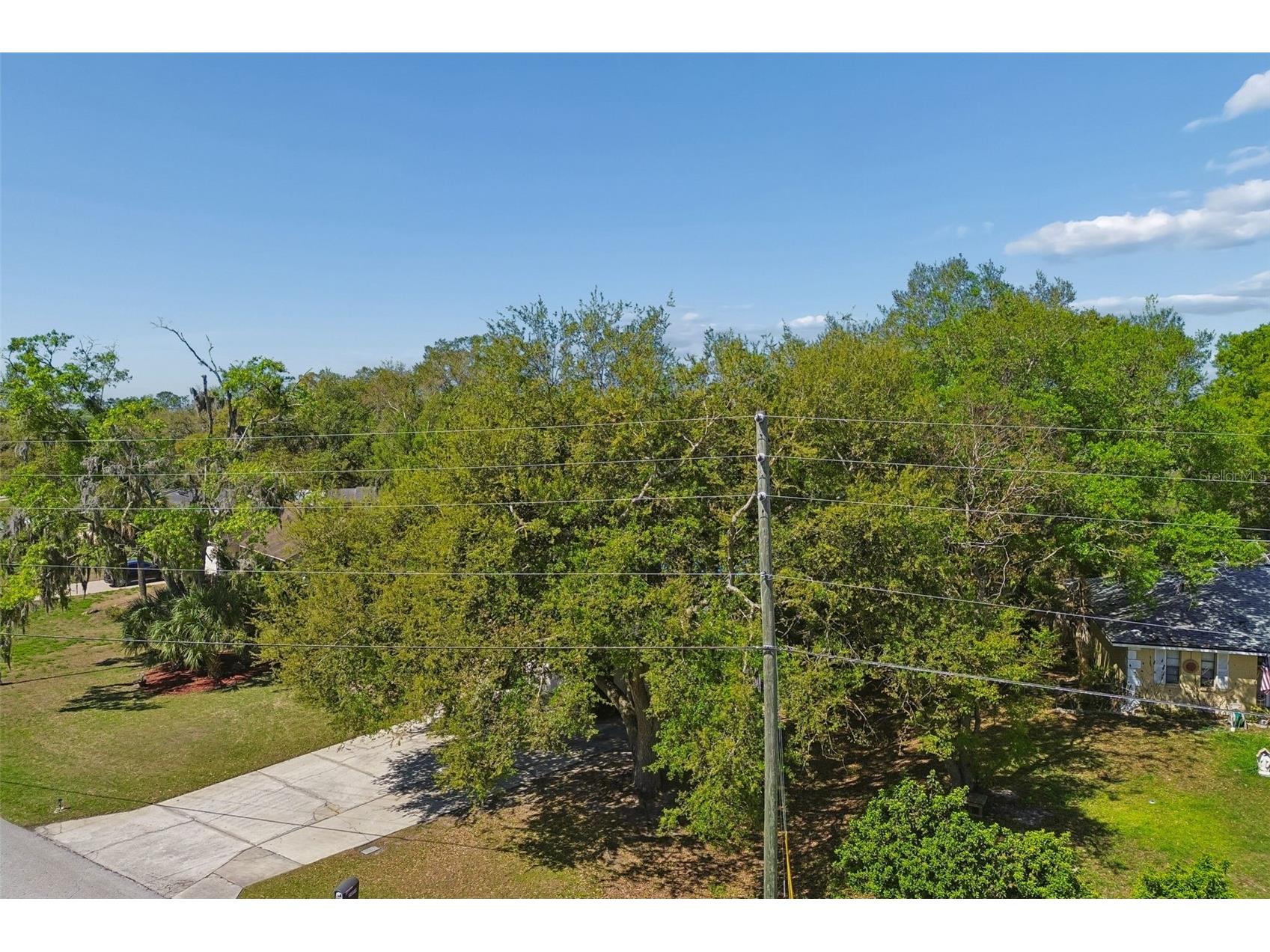 5059 Bernadette Drive Zephyrhills FL 33541 TB8489626 image70