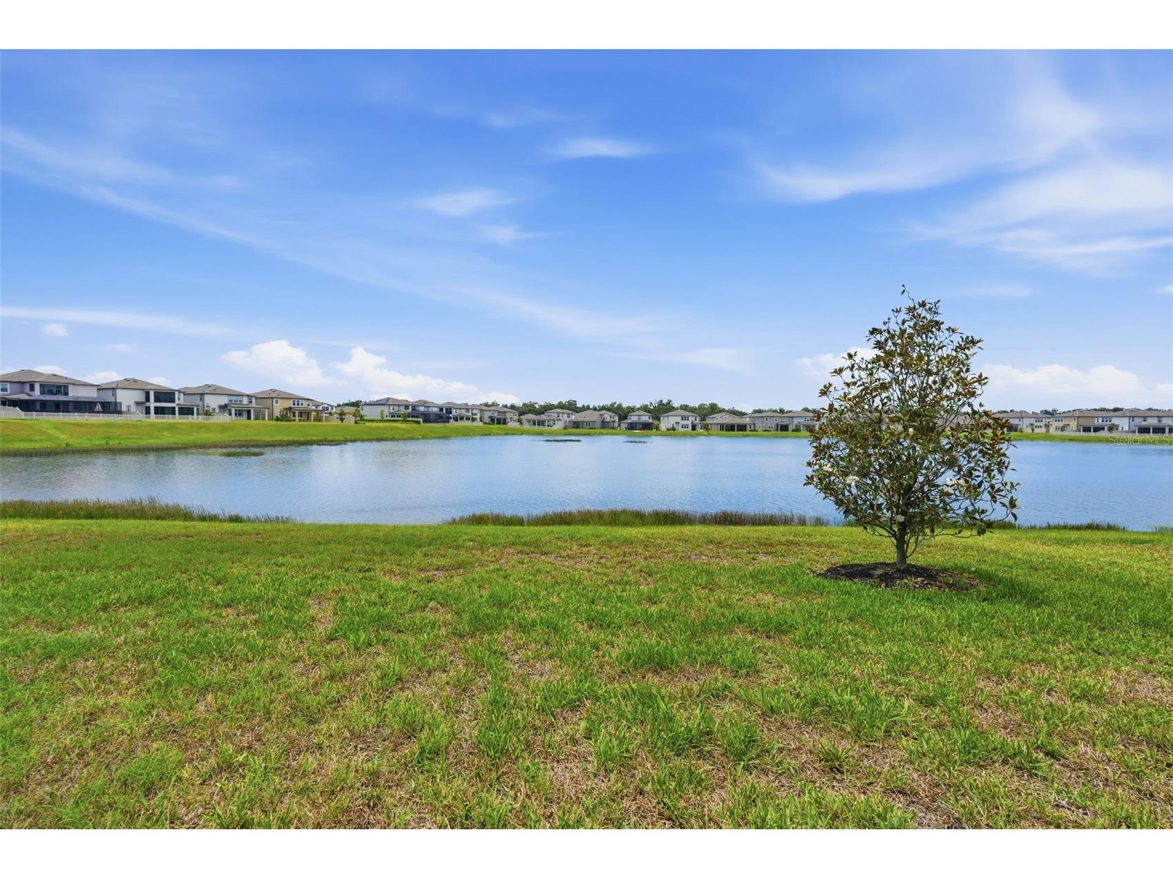 5059 Bromeliad Avenue Wimauma FL 33598 TB8512124 image44