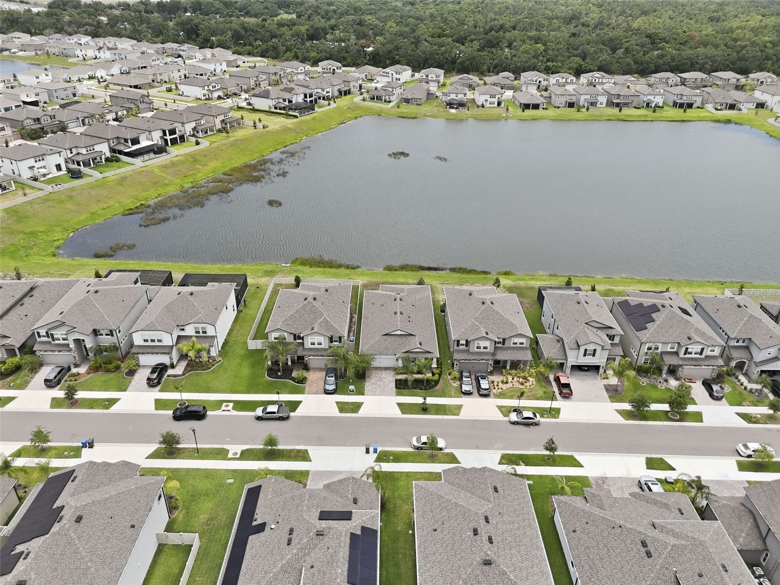 5059 Bromeliad Avenue Wimauma FL 33598 TB8512124 image9
