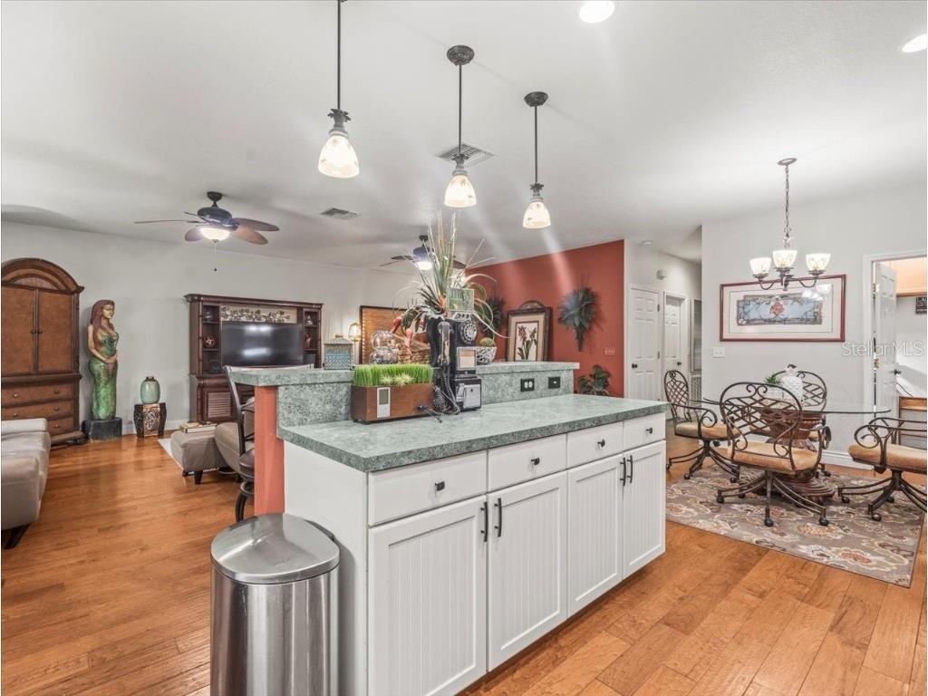 5059 Oak Leaf Lane Hernando Beach FL 34607 W7878751 image22