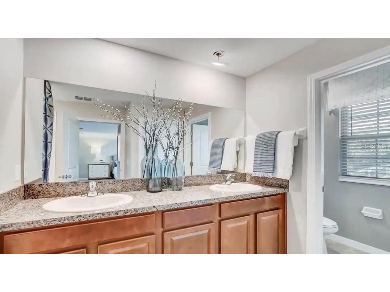 5059 White Chicory Drive Apollo Beach FL 33572 O6423185 image12