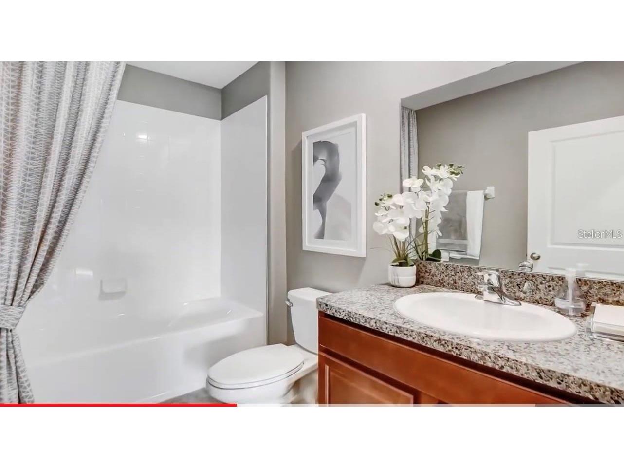 5059 White Chicory Drive Apollo Beach FL 33572 O6423185 image17