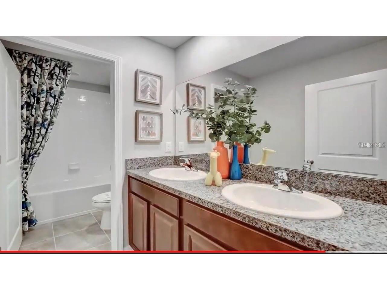 5059 White Chicory Drive Apollo Beach FL 33572 O6423185 image6