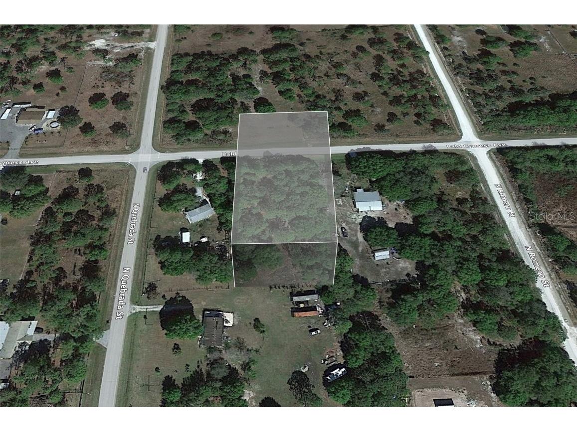 506 Bald Cypress Avenue Clewiston FL 33440 O6141599 image1