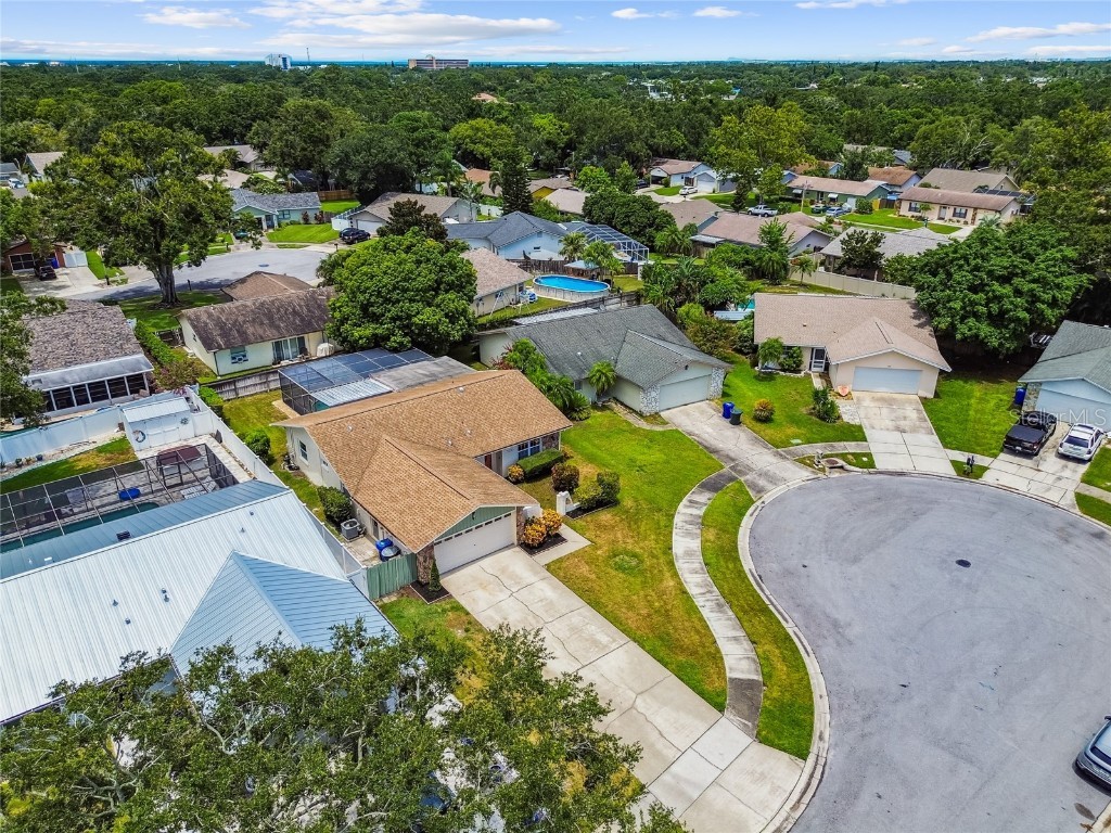 506 Belmist Court Dunedin FL 34698 TB8414617 image40