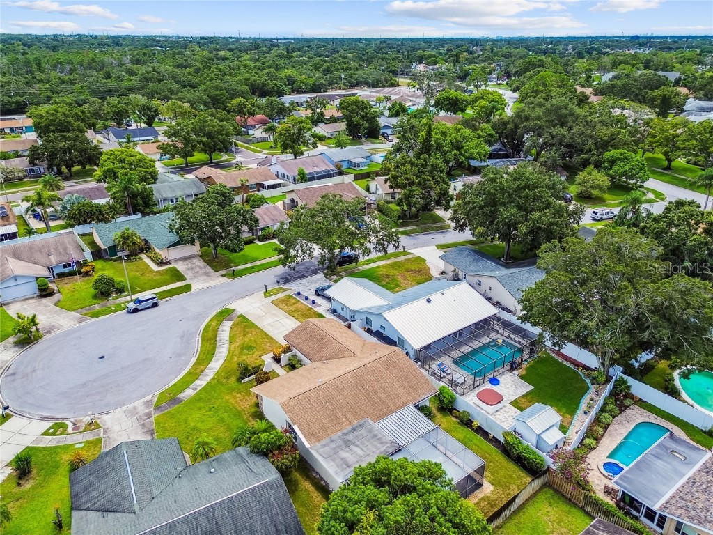 506 Belmist Court Dunedin FL 34698 TB8414617 image41