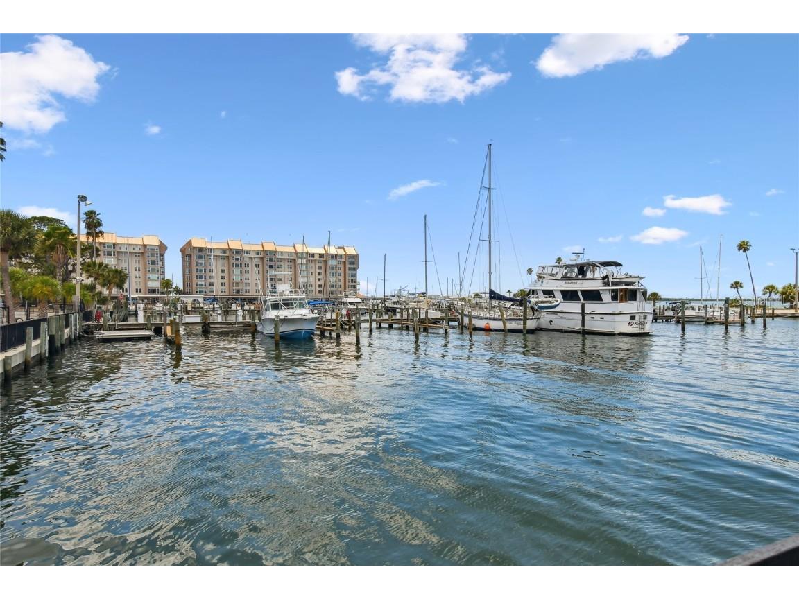 506 Belmist Court Dunedin FL 34698 TB8414617 image48