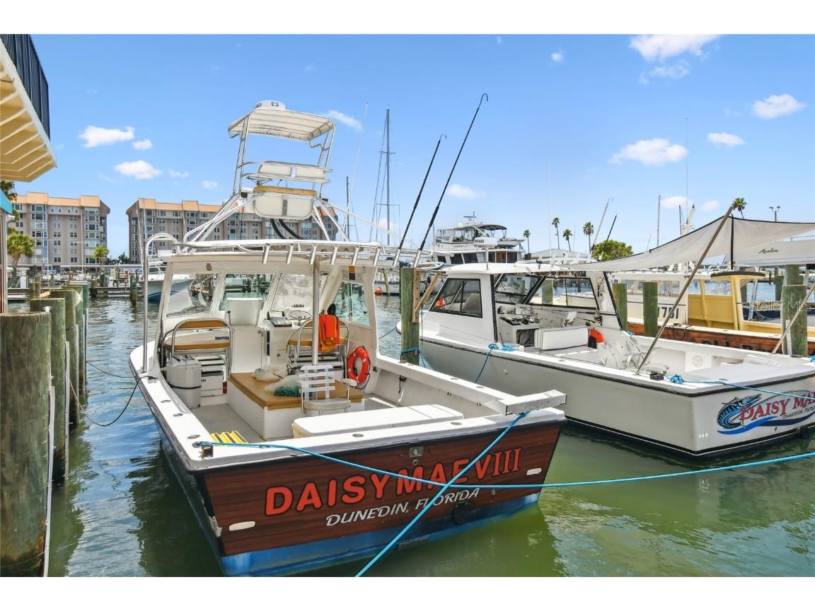 506 Belmist Court Dunedin FL 34698 TB8414617 image55