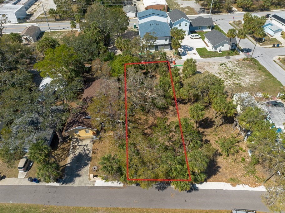 506 Blanche B Littlejohn Trail Clearwater FL 33755 TB8359810 image1