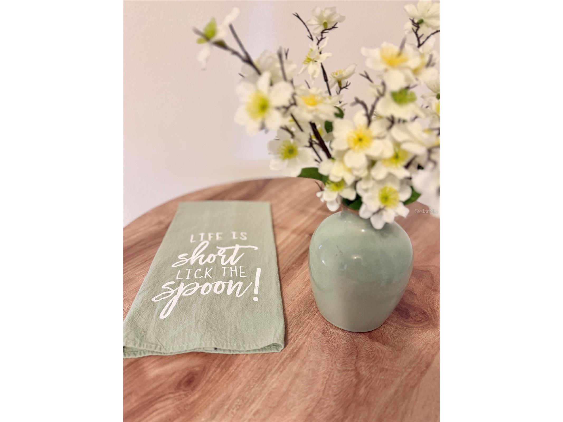 506 Brenda Drive Brandon FL 33510 TB8480683 image21