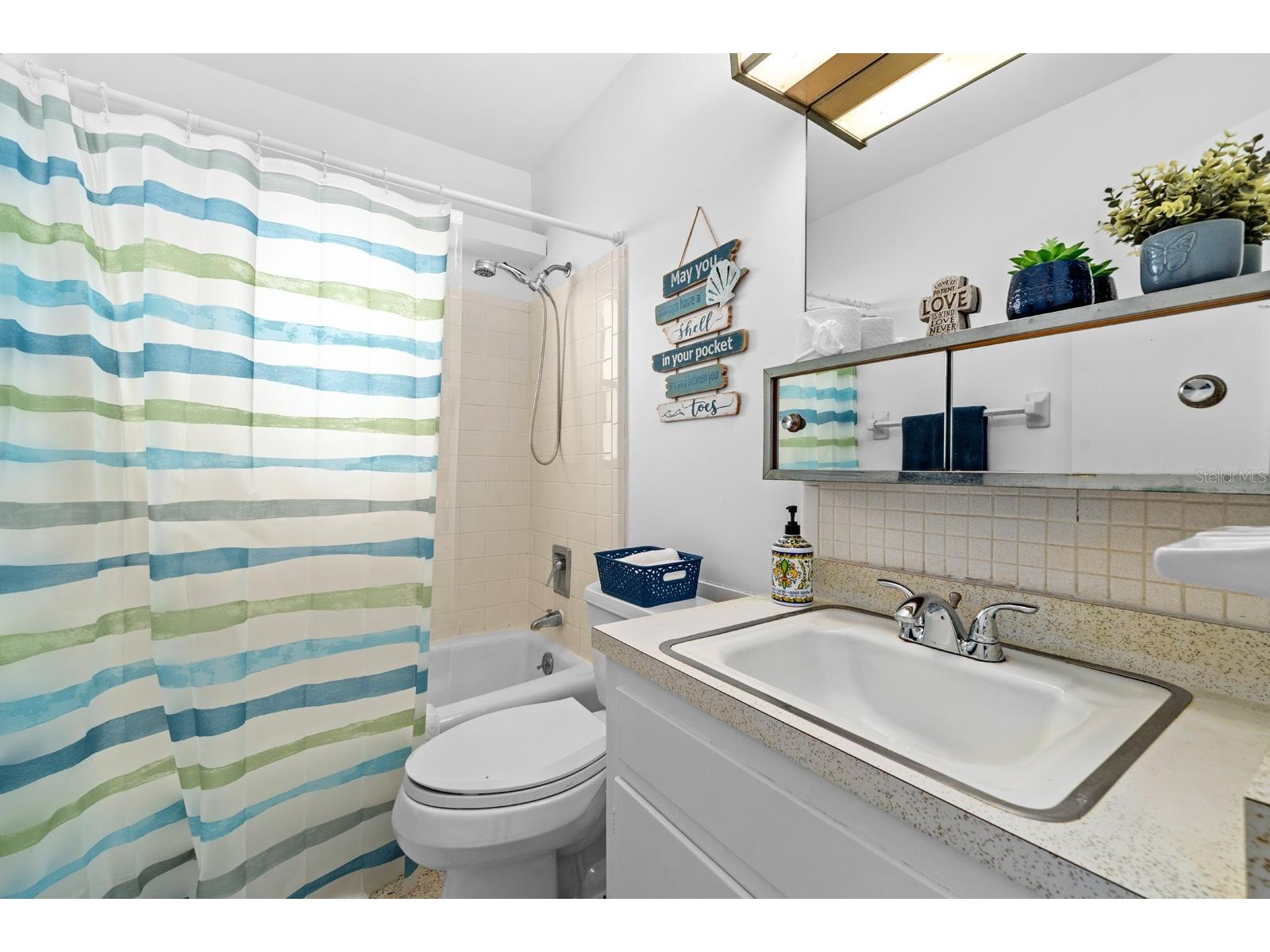 506 Brenda Drive Brandon FL 33510 TB8480683 image37