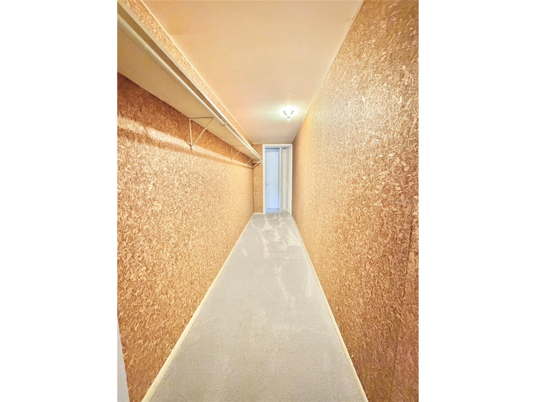 506 Brenda Drive Brandon FL 33510 TB8480683 image43