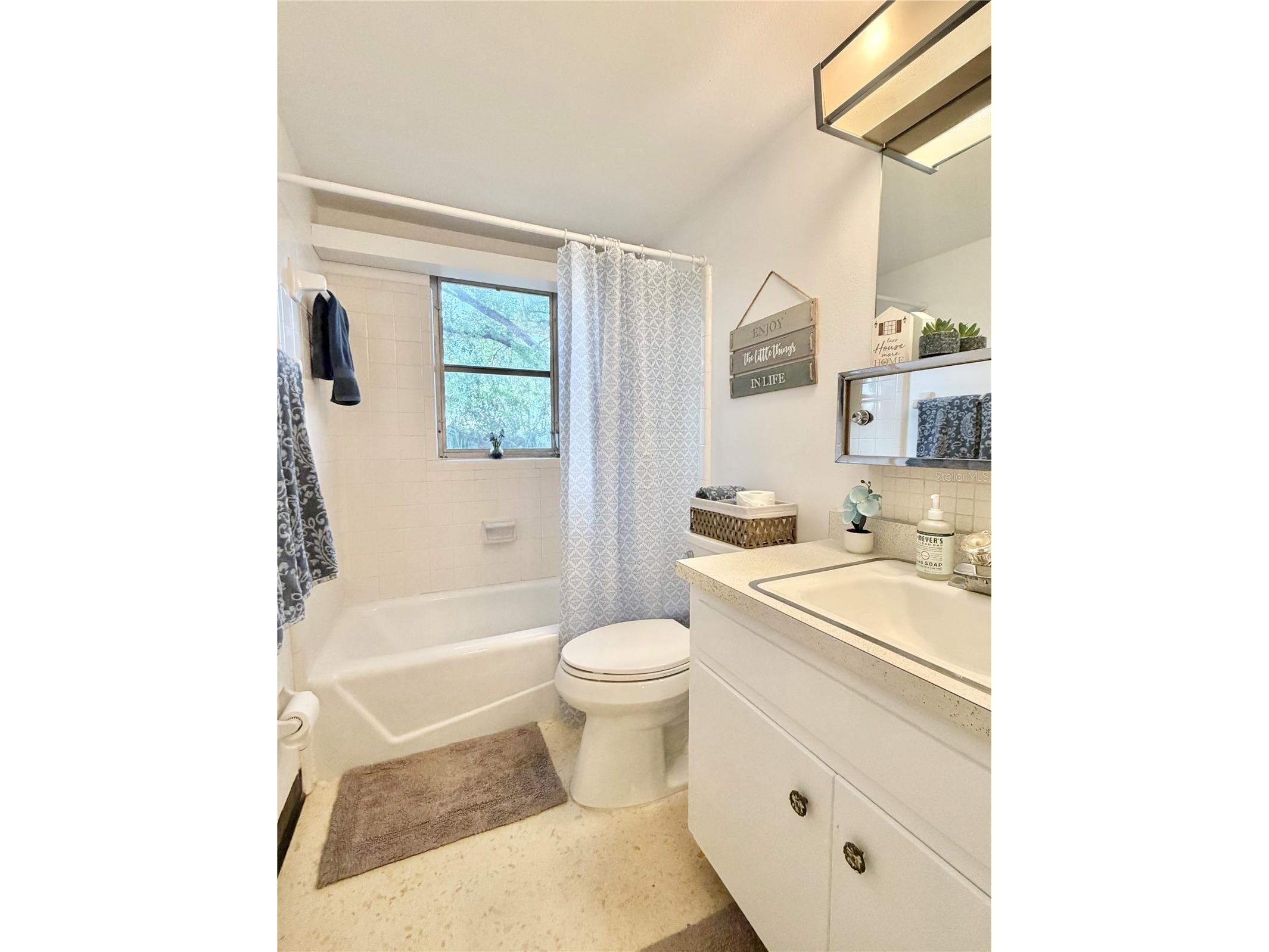 506 Brenda Drive Brandon FL 33510 TB8480683 image45