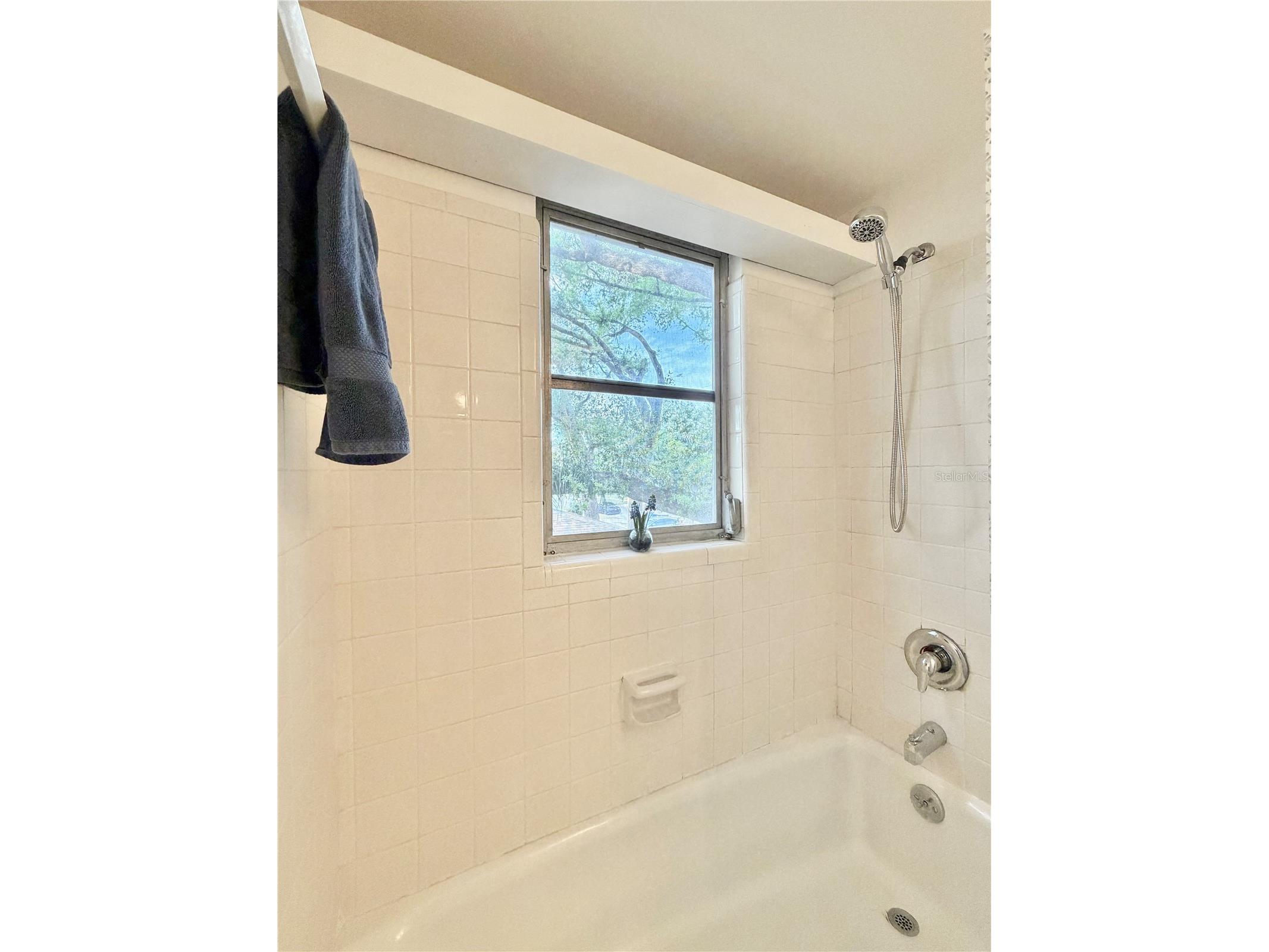 506 Brenda Drive Brandon FL 33510 TB8480683 image46