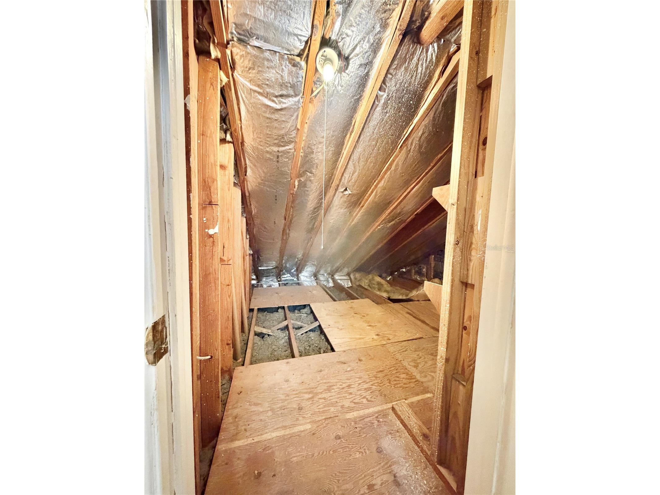 506 Brenda Drive Brandon FL 33510 TB8480683 image51