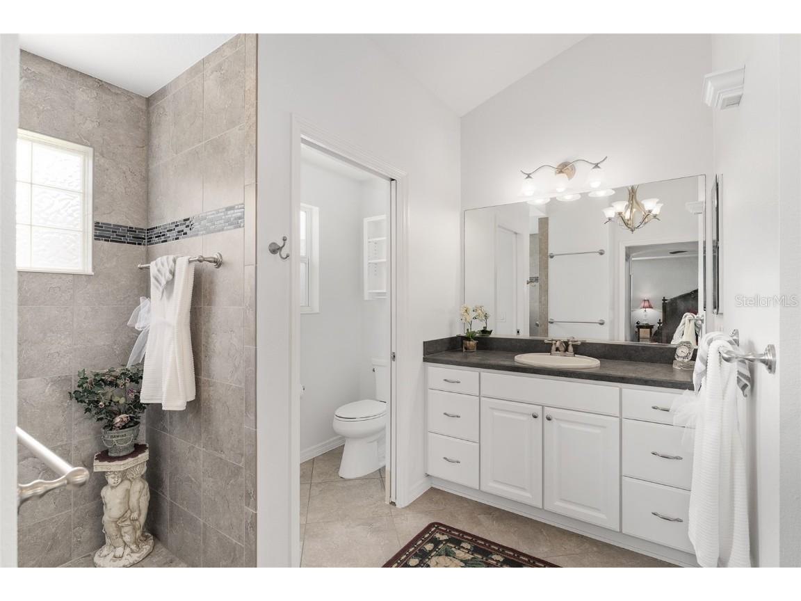 506 Deauville Court The Villages FL 32163 G5099658 image26