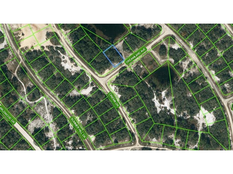 506 Dreamland Avenue Lake Placid FL 33852 OM621782 image1