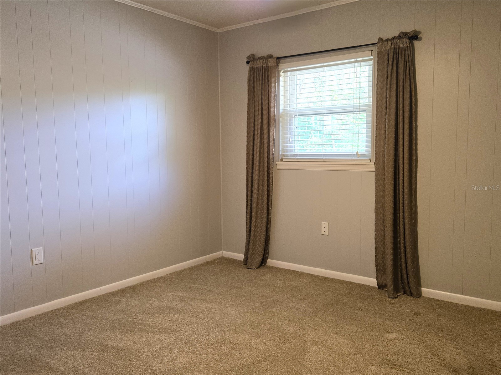 506 E Gottsche Avenue Eustis FL 32726 G5110351 image18