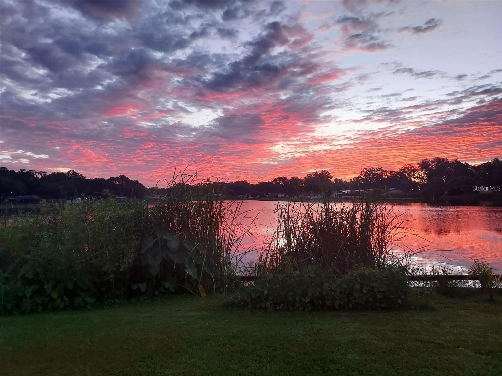 506 Gay Road Seffner FL 33584 - Lake Shangri La TB8514530 image12