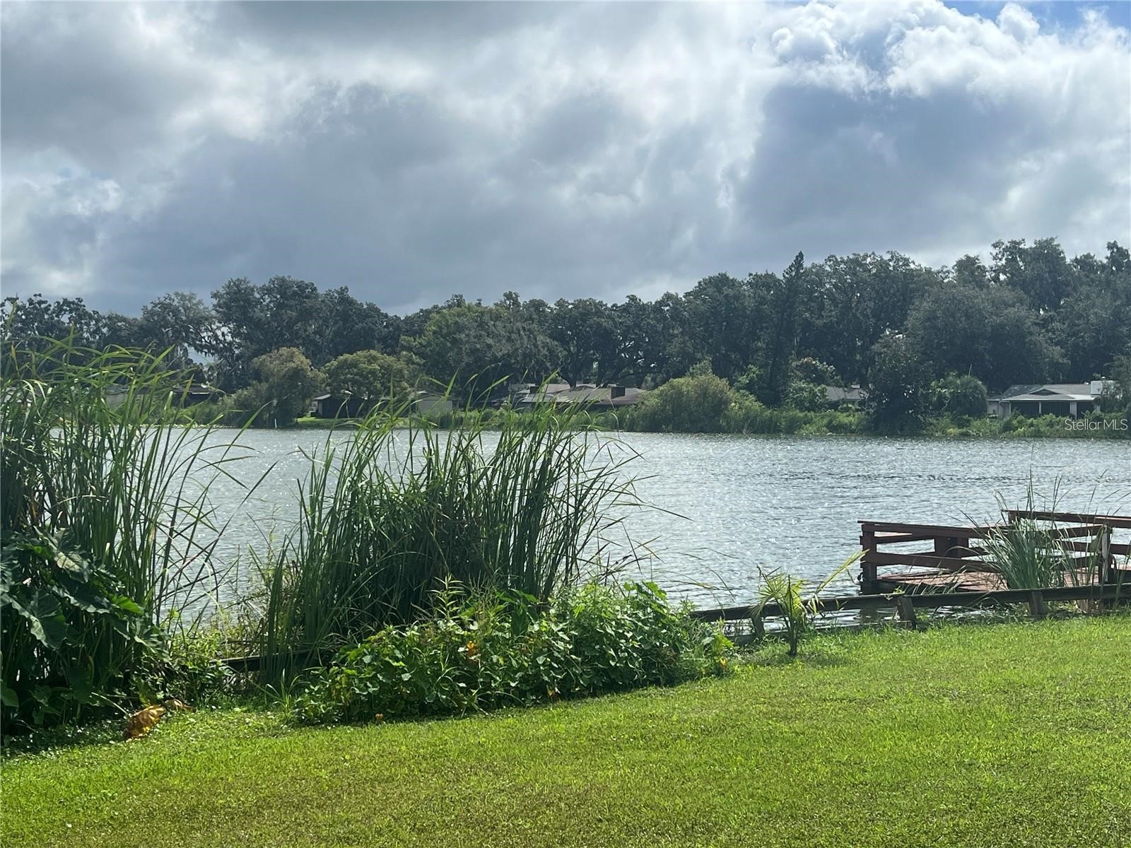 506 Gay Road Seffner FL 33584 - Lake Shangri La TB8514530 image13
