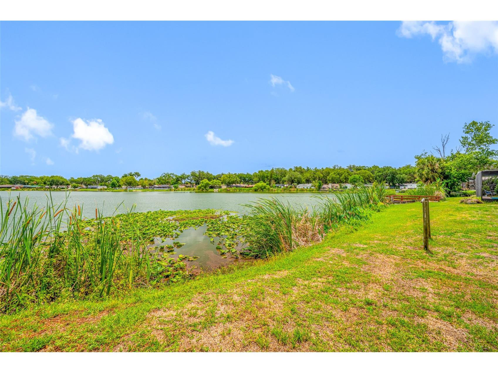 506 Gay Road Seffner FL 33584 - Lake Shangri La TB8514530 image50