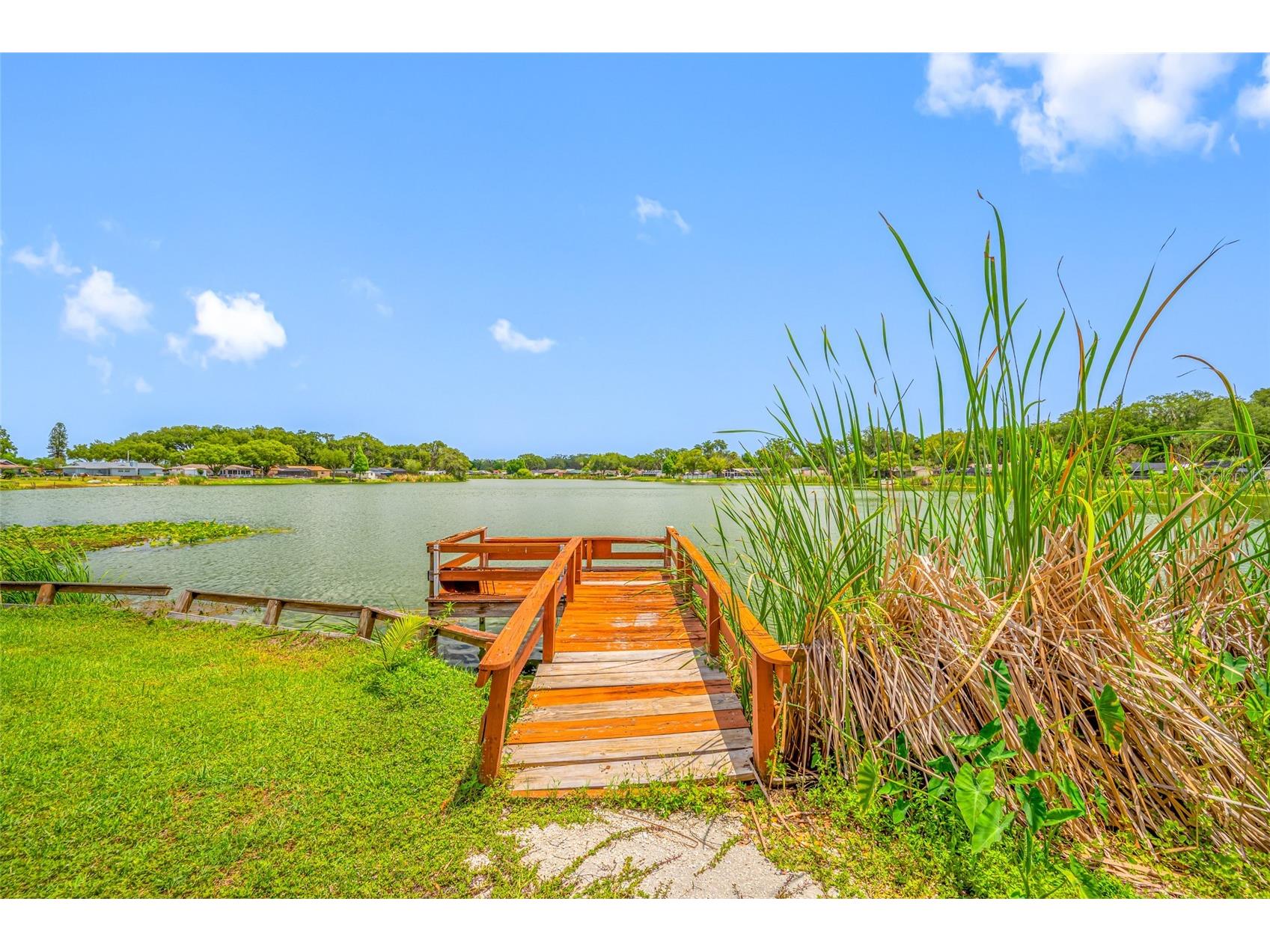 506 Gay Road Seffner FL 33584 - Lake Shangri La TB8514530 image71