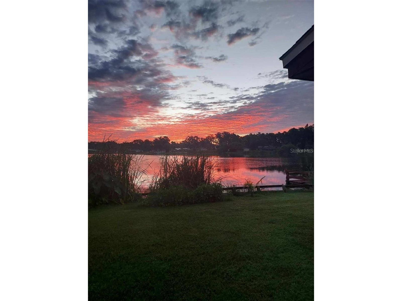 506 Gay Road Seffner FL 33584 - Lake Shangri La TB8514530 image87