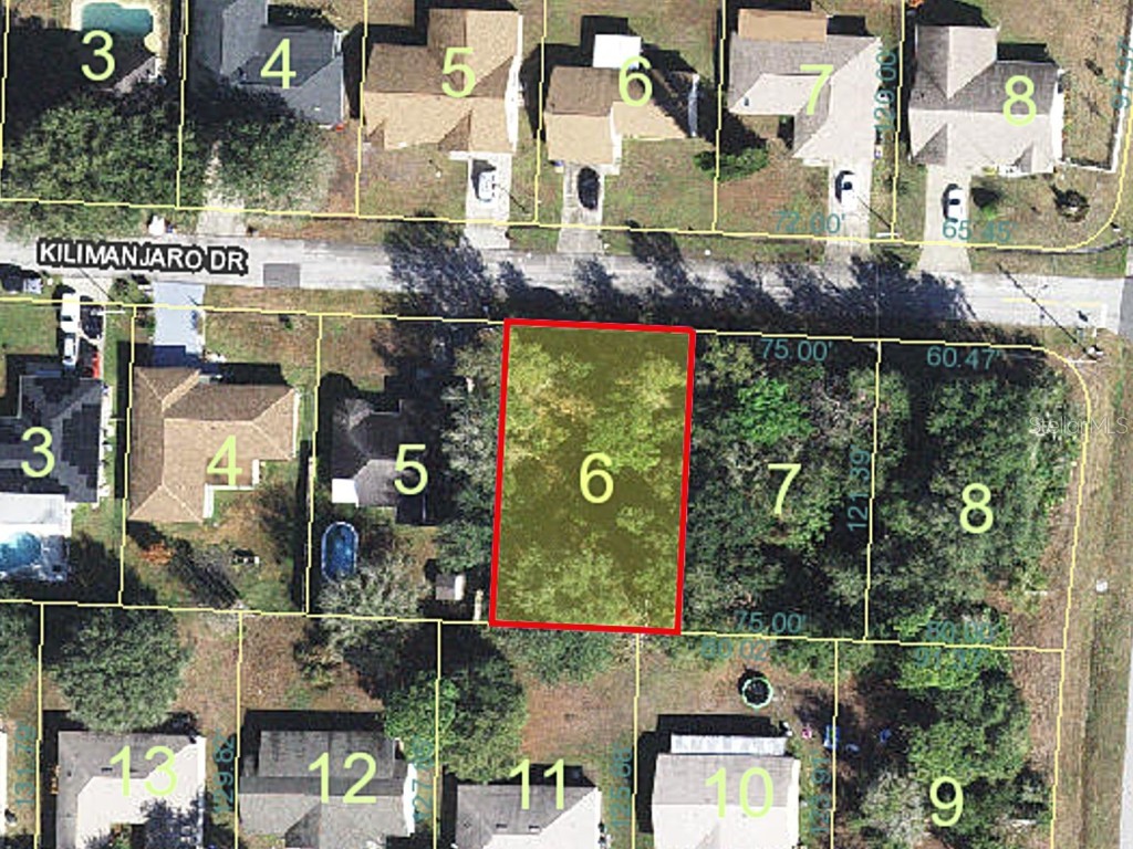 506 Kilimanjaro Drive Kissimmee FL 34758 O6035731 image1