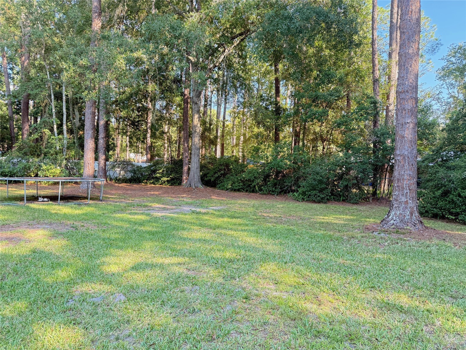 506 Legion Terrace Starke FL 32091 GC537976 image26